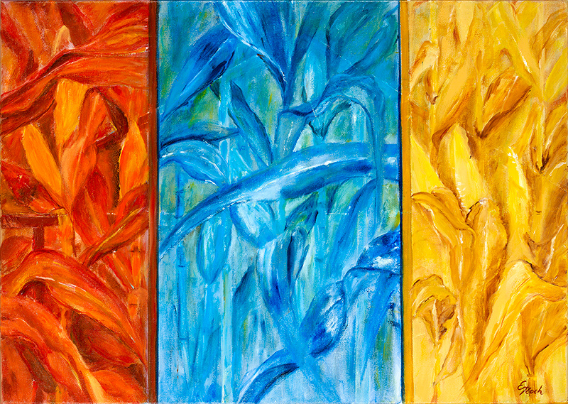 Buntes Maisfeld